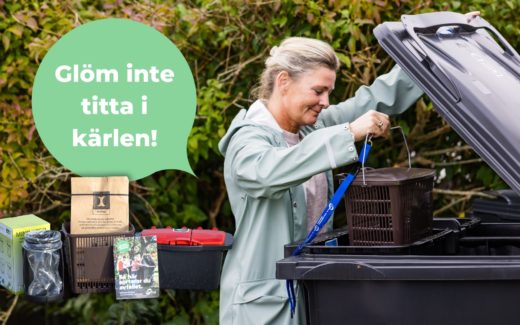 Tanum – Allt du behöver veta om tillbehören i kärlen!